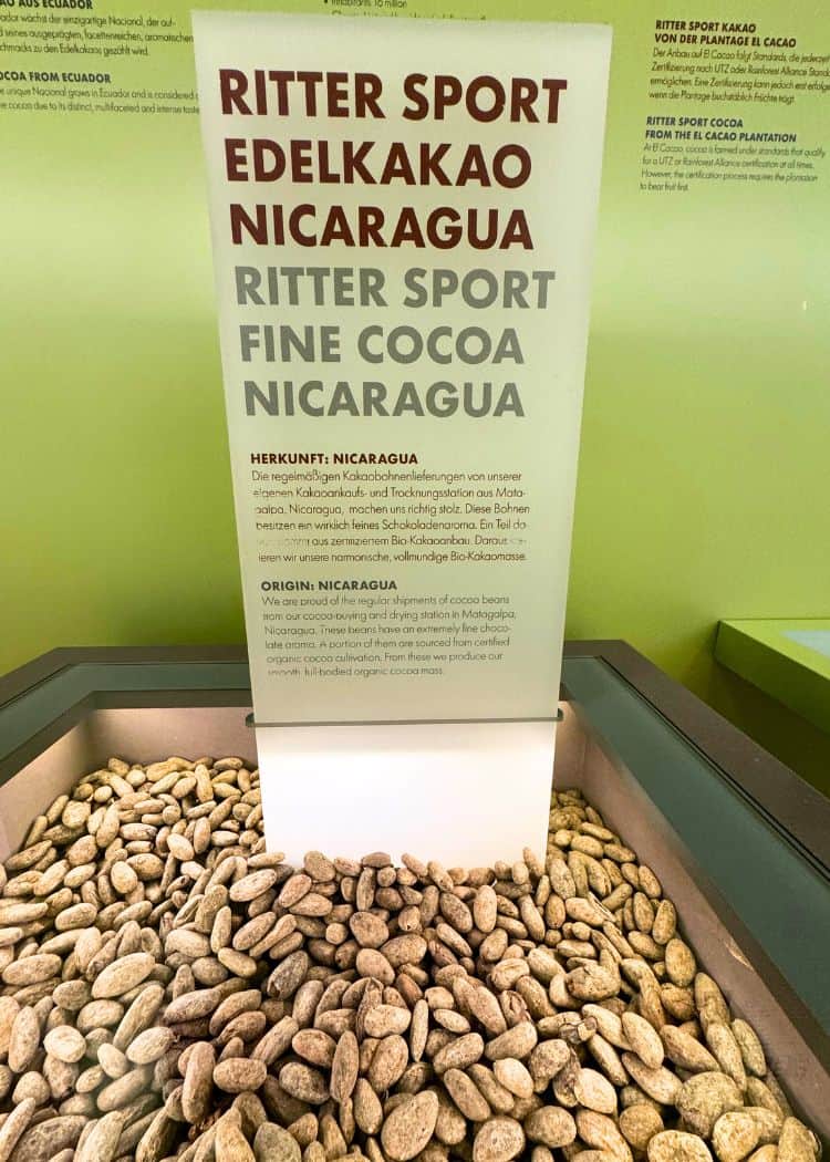 Ritter Sport Museum - Cocoa bean display from Nicaragua