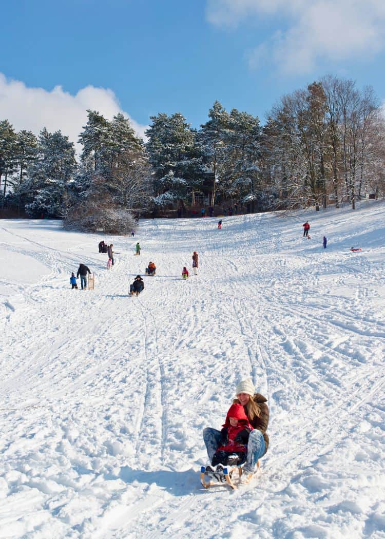 Stuttgart - Sledding