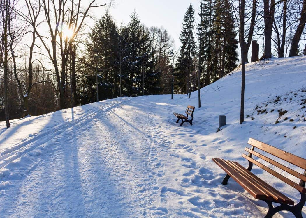 Stuttgart - Snowy trail through park with benches