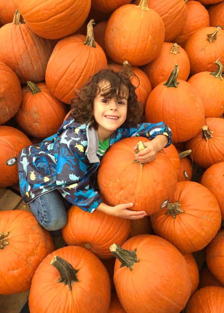 Ludwigsburg Pumpkin Festival - Boy with pumpkins