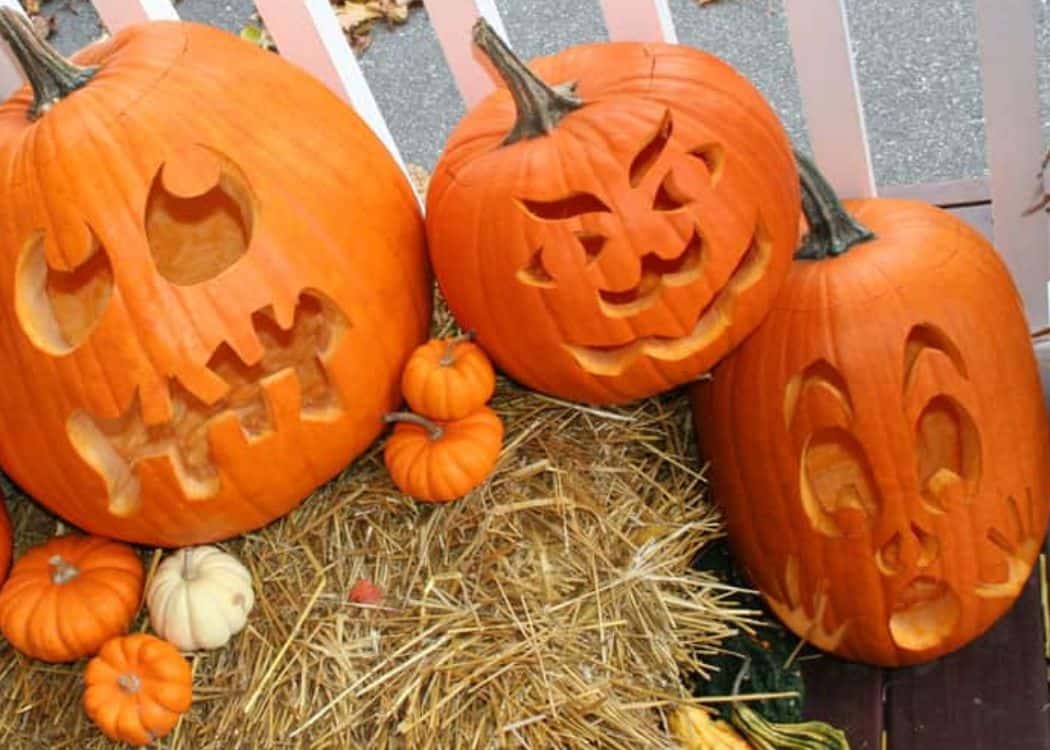 Ludwigsburg Pumpkin Festival - Carved Pumpkins
