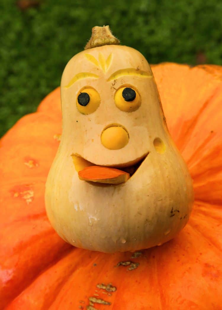 Ludwigsburg Pumpkin Festival - Face in a squash