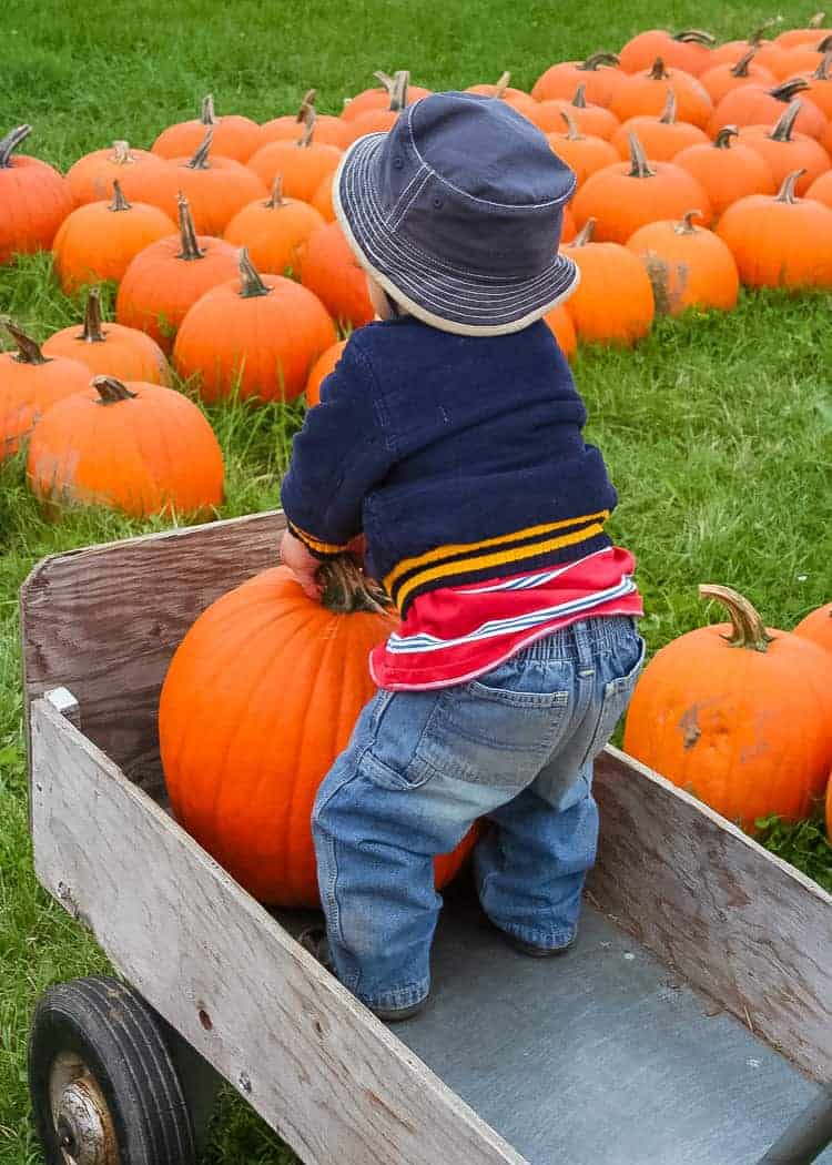 Ludwigsburg-Pumpkin-Festival-Pumpkin-Patch-Kid-in-wagon