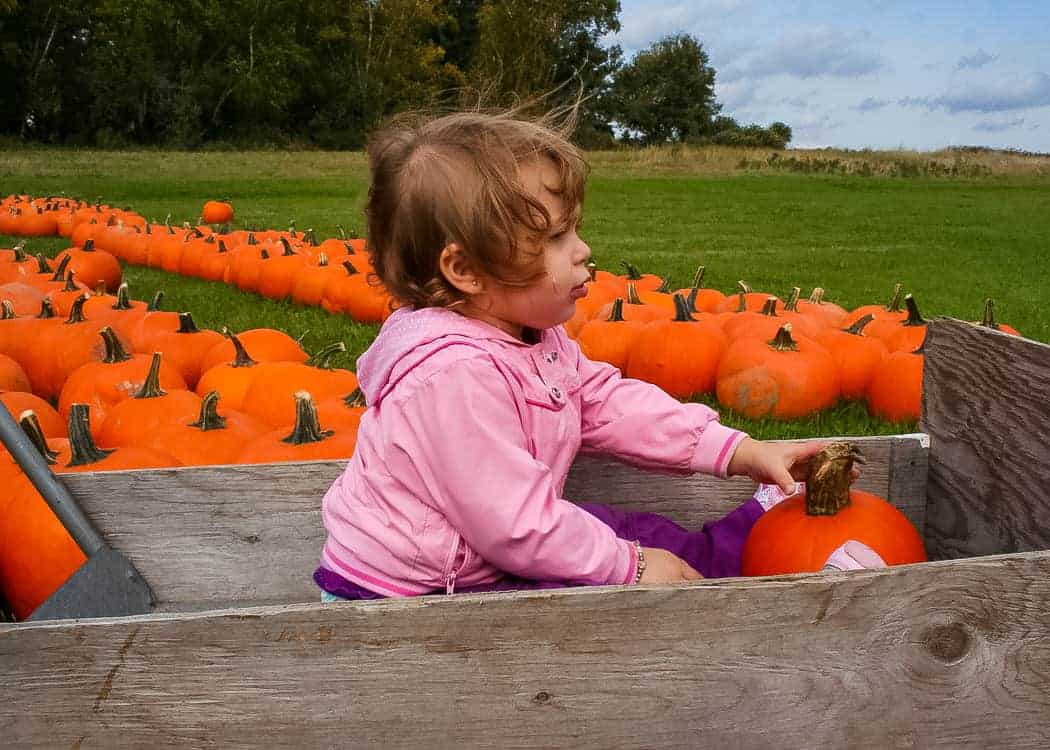 Ludwigsburg-Pumpkin-Festival-Pumpkin-Patch-Wagon-Ride