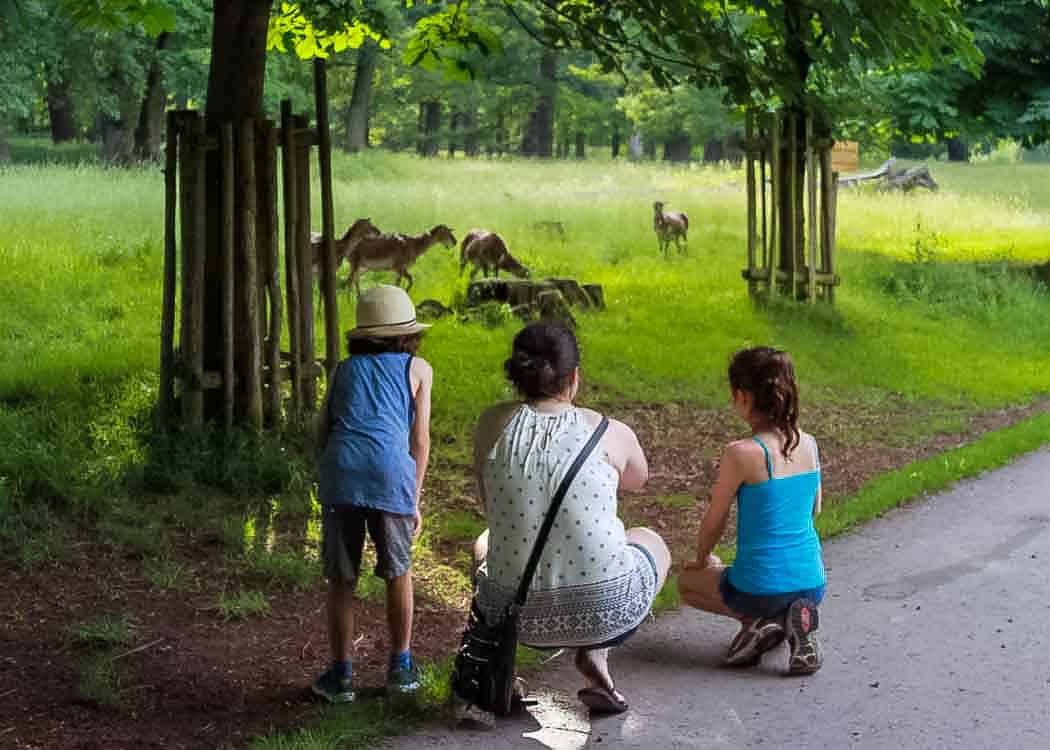 Stuttgart-Attractions-Ludwigsburg-Palace-gardens-with-kids-and-deer