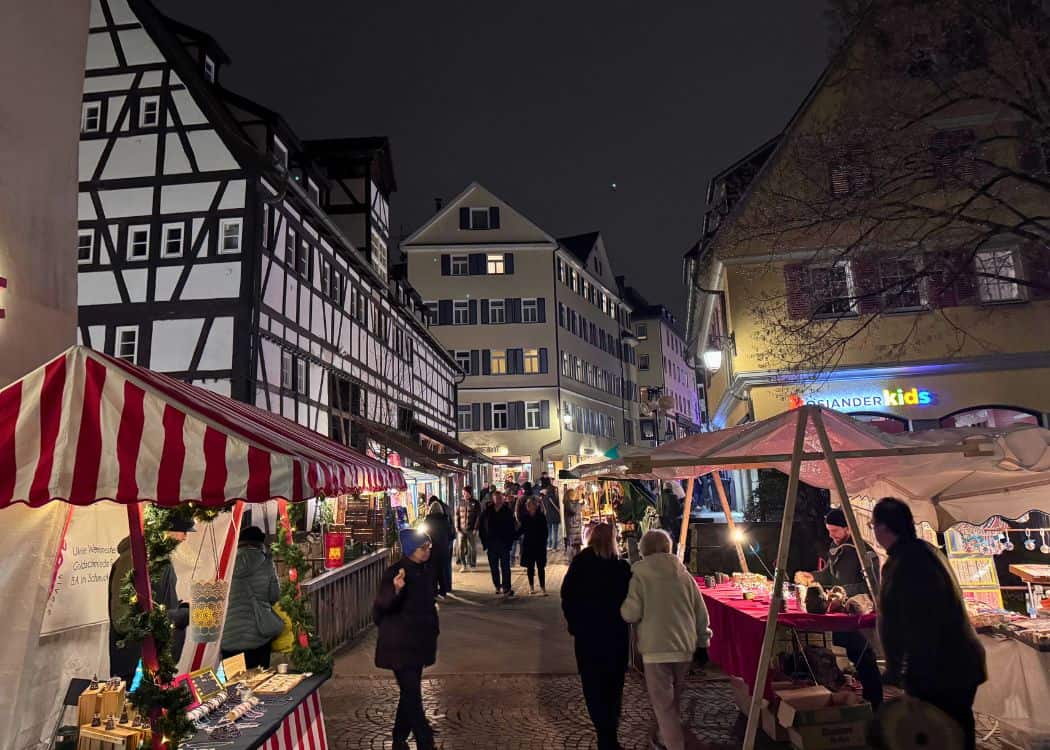 Tubingen - Half-timbered buildings